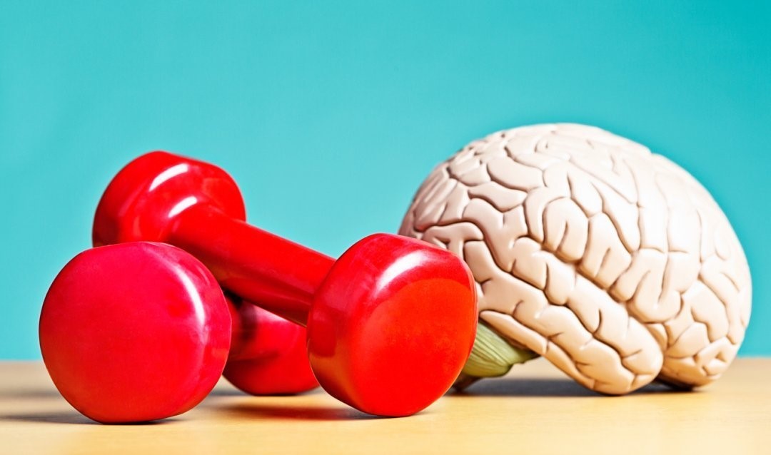 Фізична культура і здоровий глузд. П'ять фізичних вправ для поліпшення роботи мозку